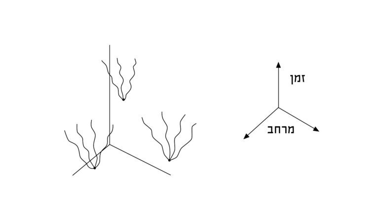 תנודות וואקום