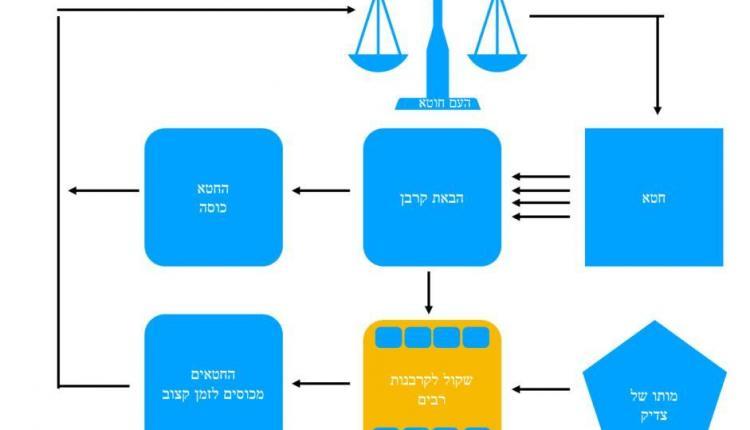 shay-tarshim