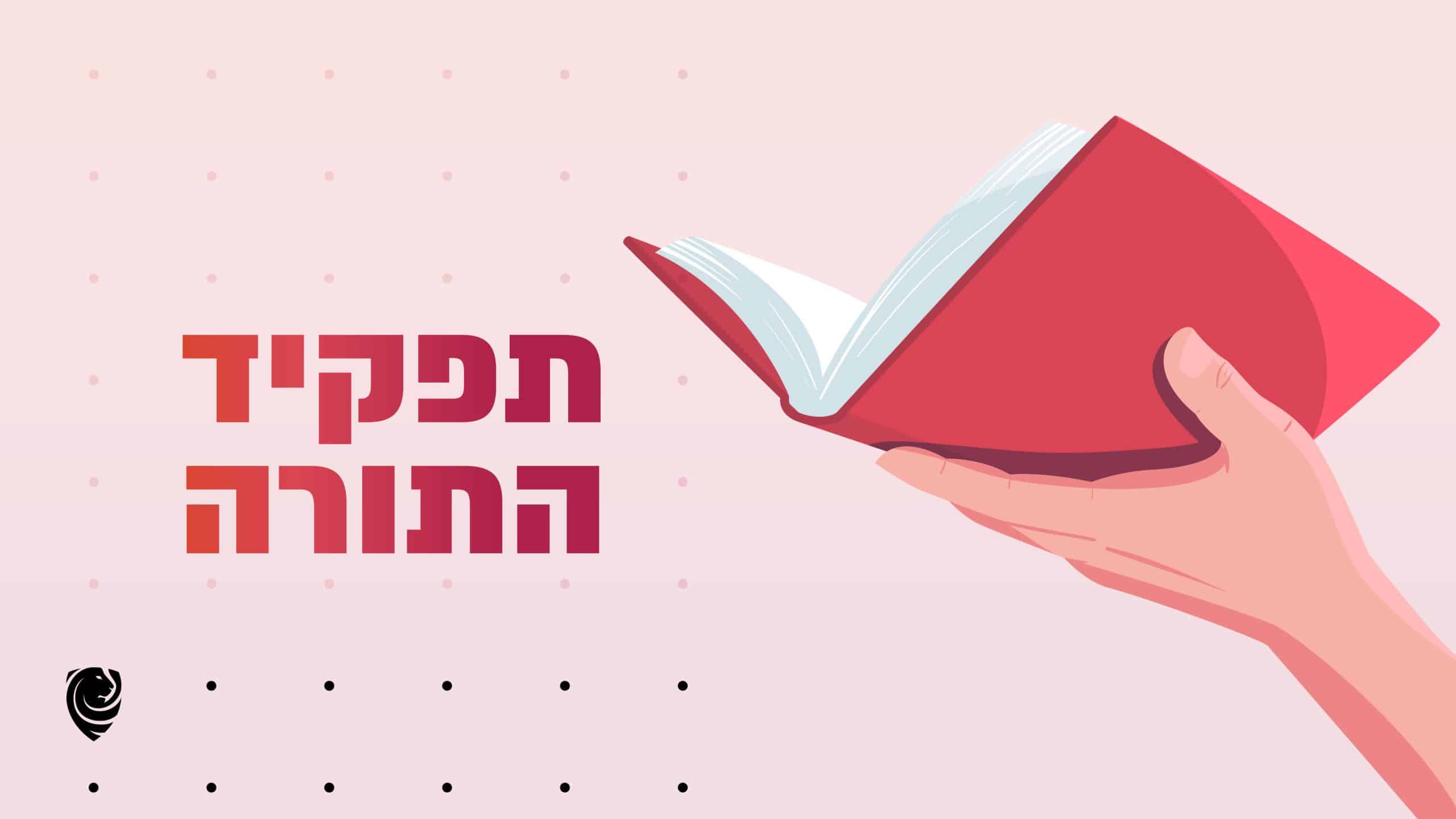 תפקיד התורה -הגות יומית