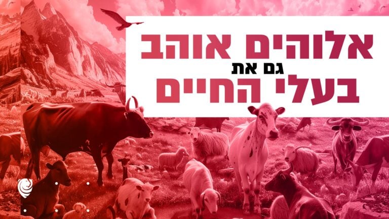 אלוהים אוהב גם את בעלי החיים - הגות יומית