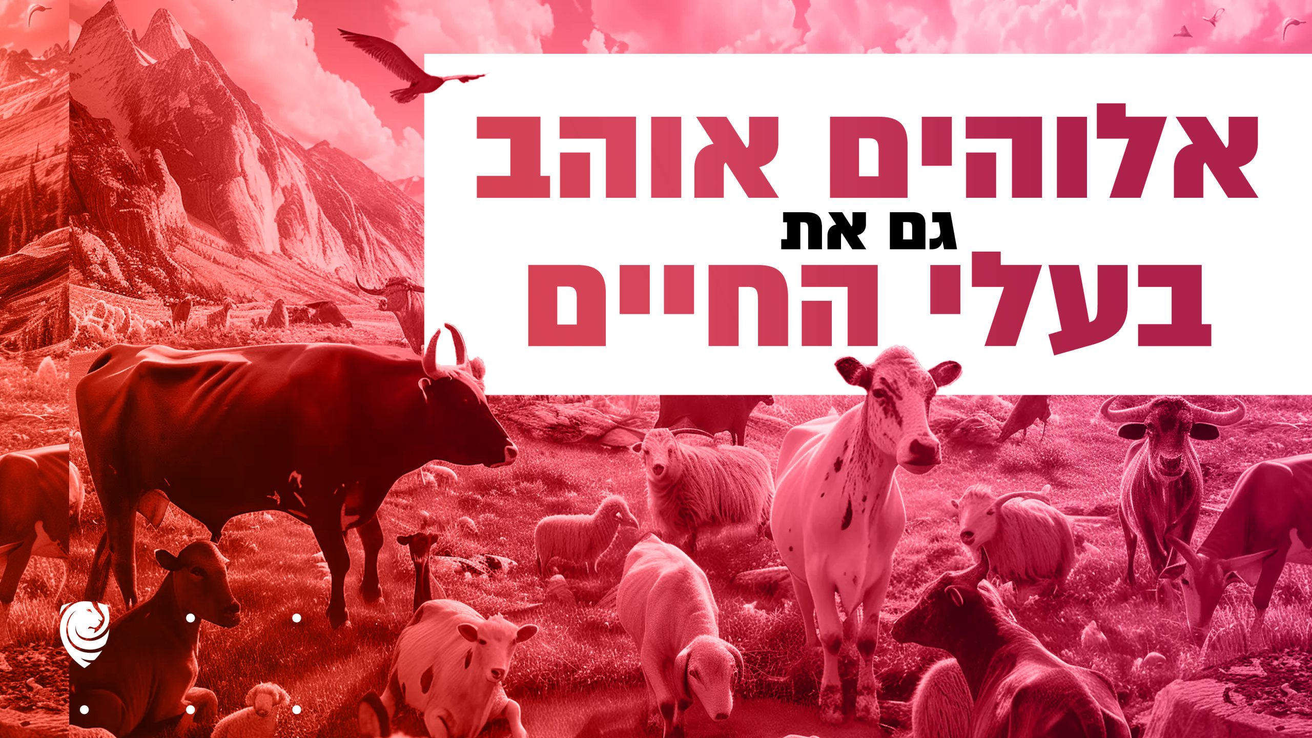 אלוהים אוהב גם את בעלי החיים - הגות יומית