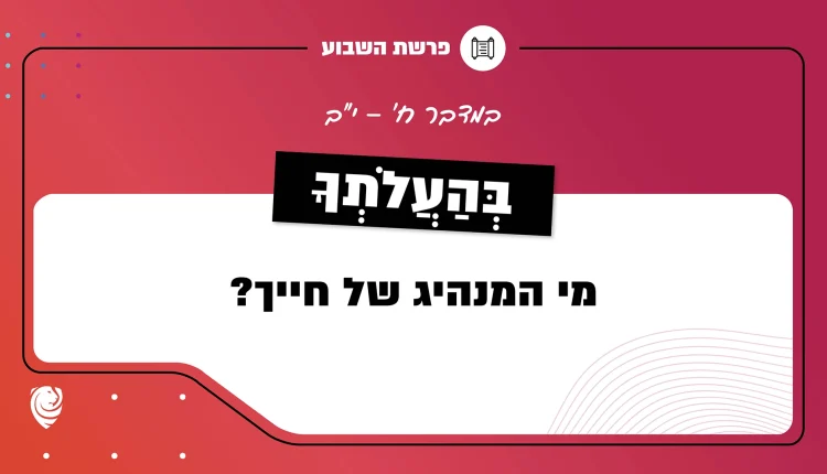 פרשת השבוע בְּהַעֲלֹתְךָ: במדבר ח׳ – י״ב