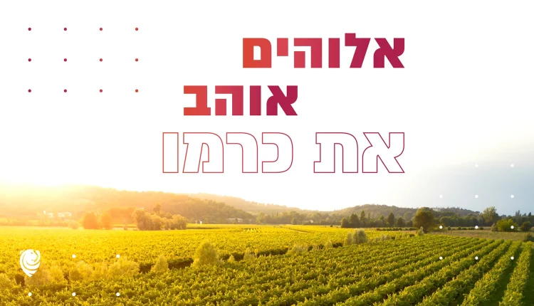 אלוהים אוהב את כרמו – הגות יומית