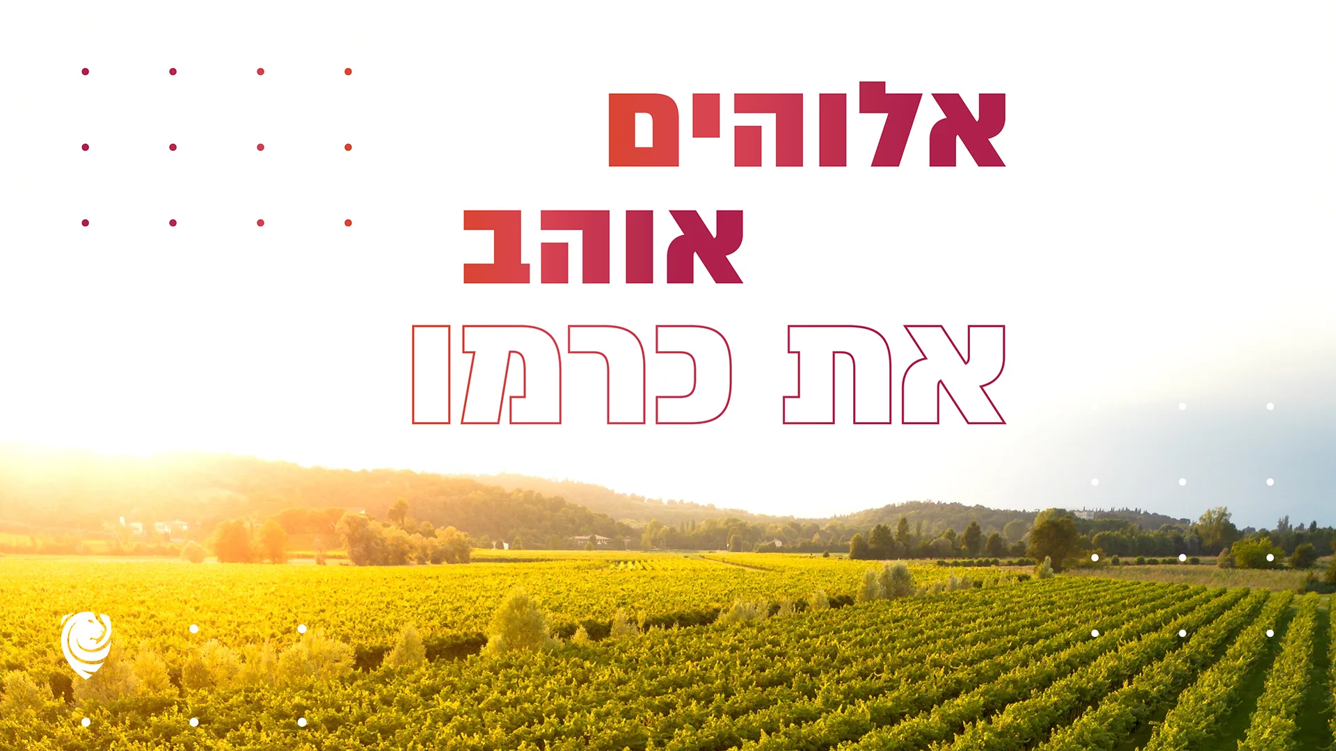אלוהים אוהב את כרמו – הגות יומית