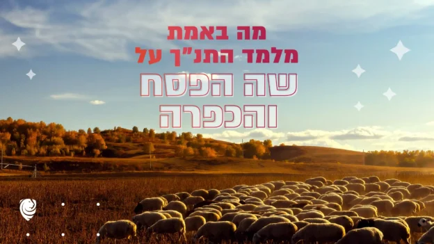 מה באמת מלמד התנ״ך על שה הפסח והכפרה? – הגות