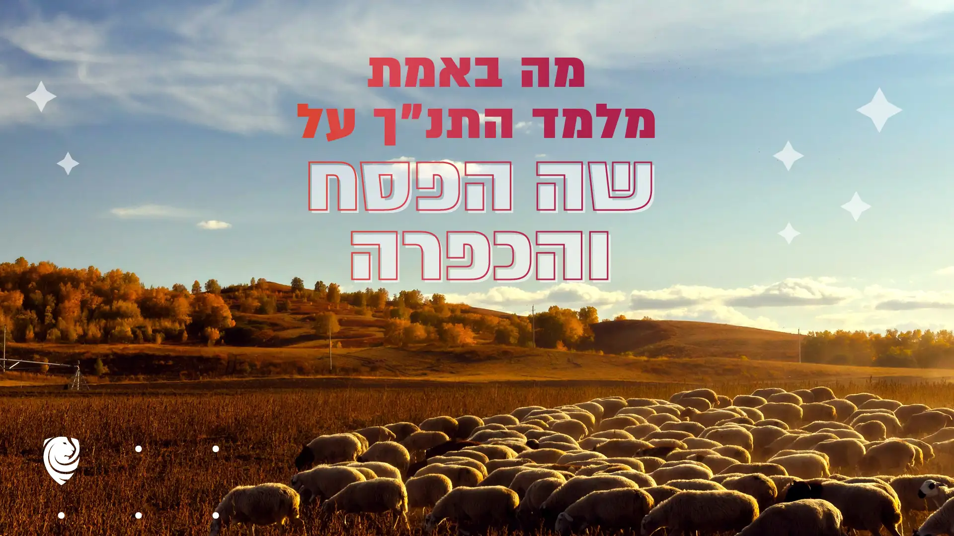 מה באמת מלמד התנ״ך על שה הפסח והכפרה? – הגות