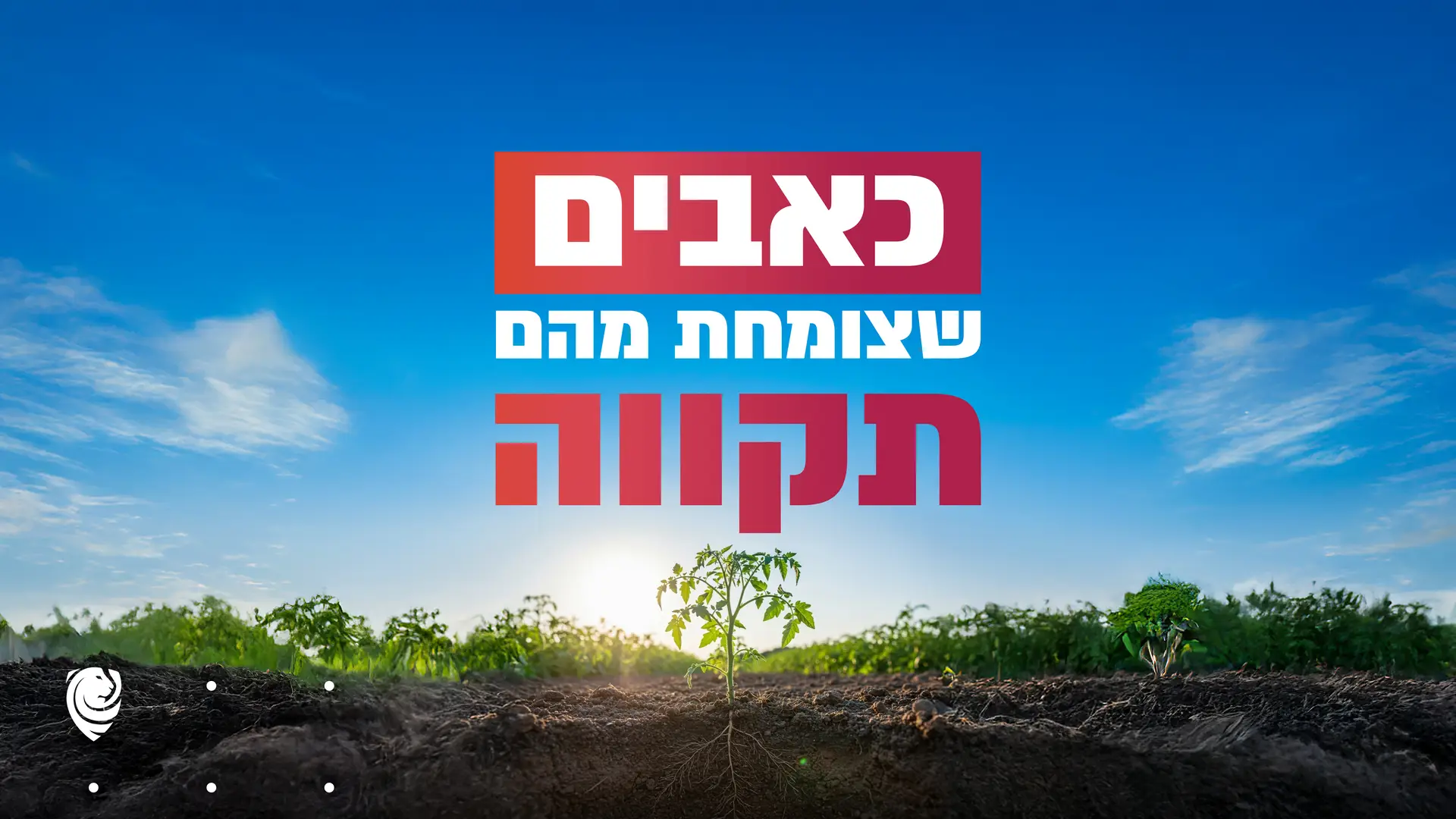 כאבים שצומחת מהם תקווה – הגות יומית