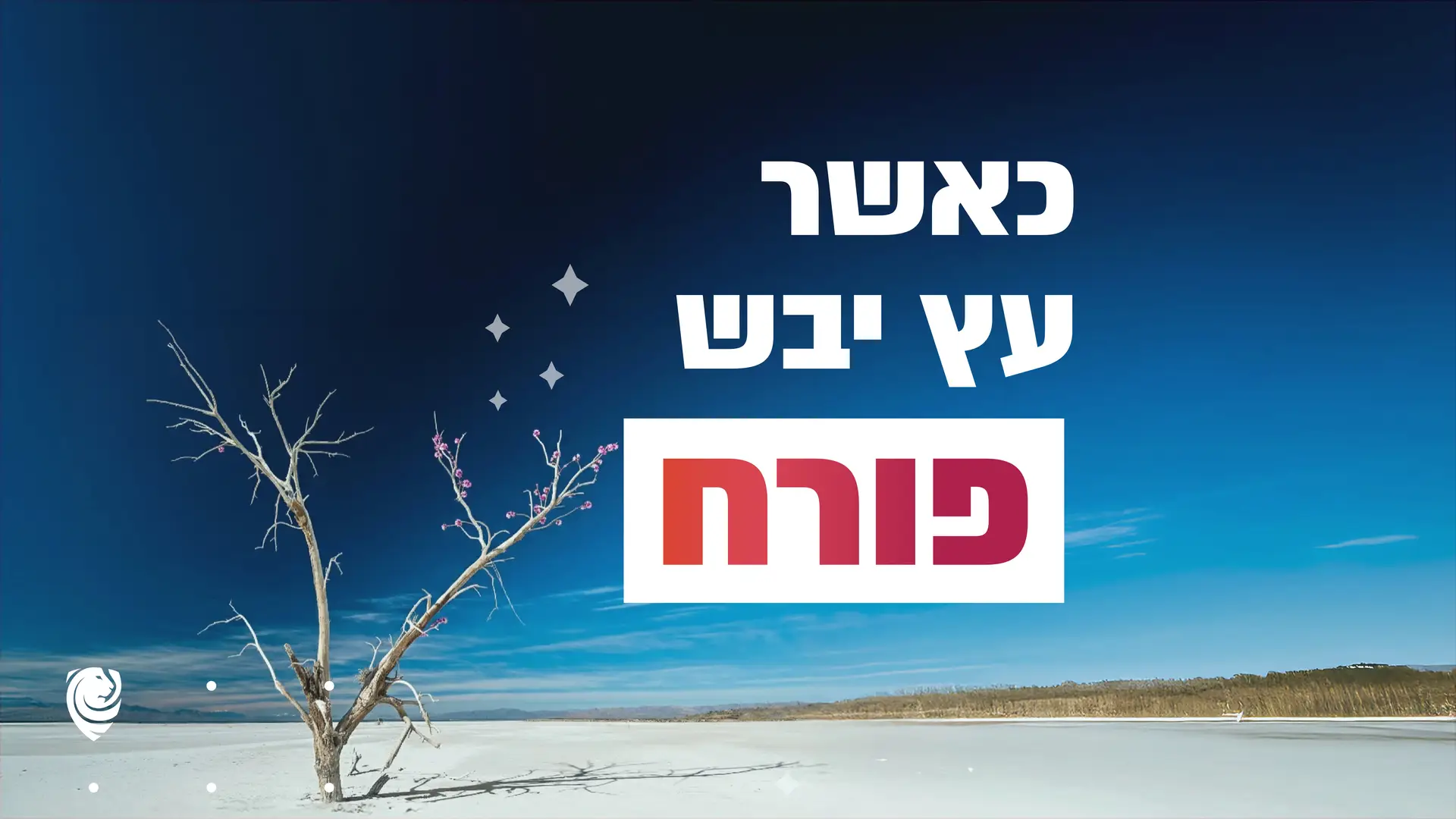 כאשר עץ יבש פורח – הגות יומית