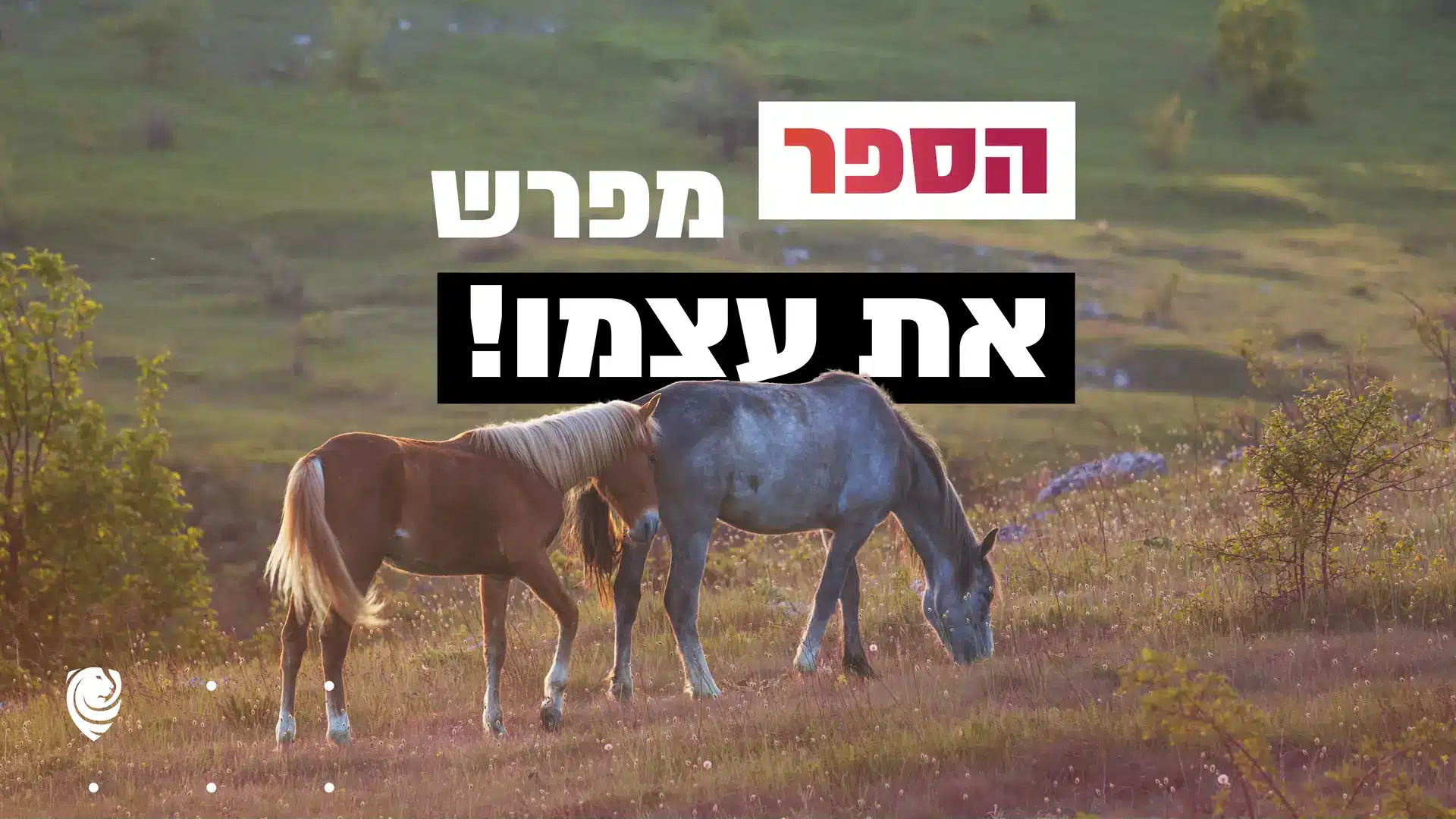 !הספר מפרש את עצמו