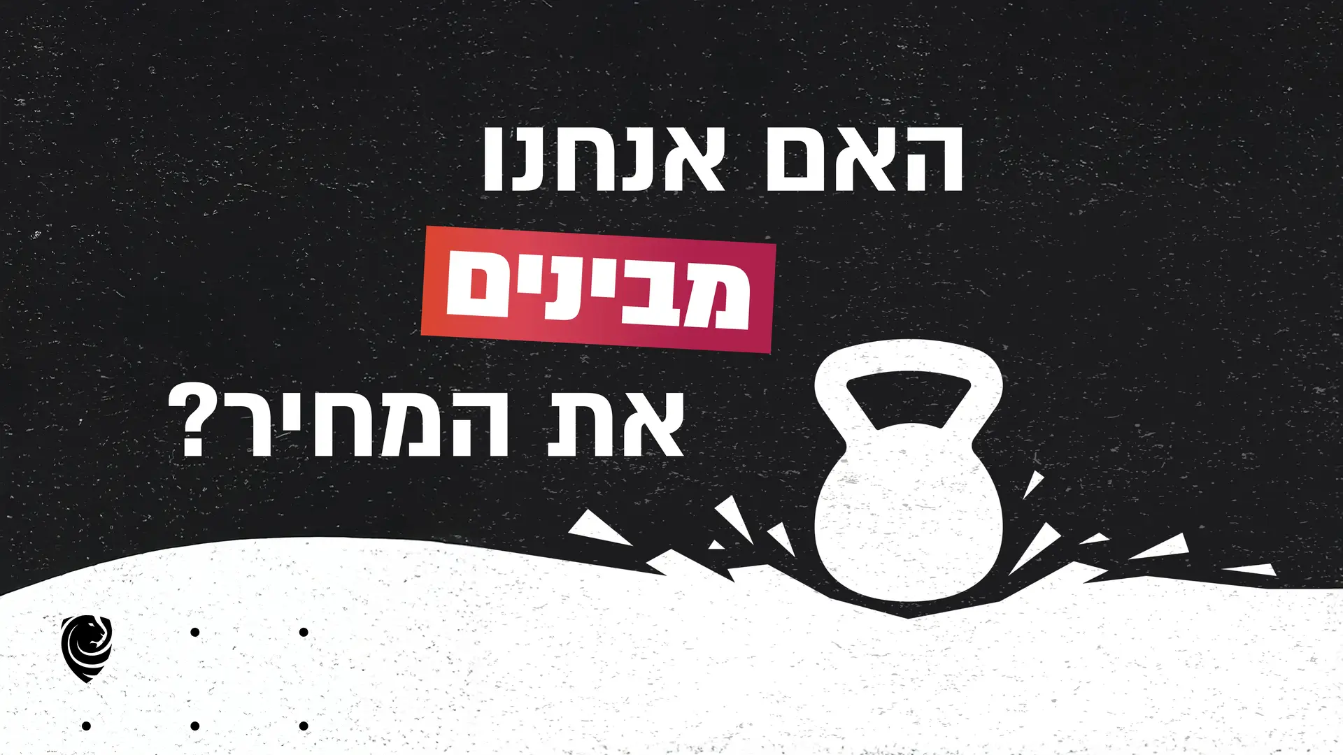 האם אנחנו מבינים את המחיר?